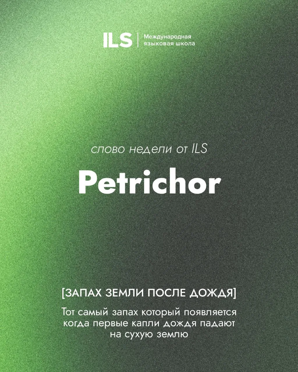 Слово недели от ILS ⚡️