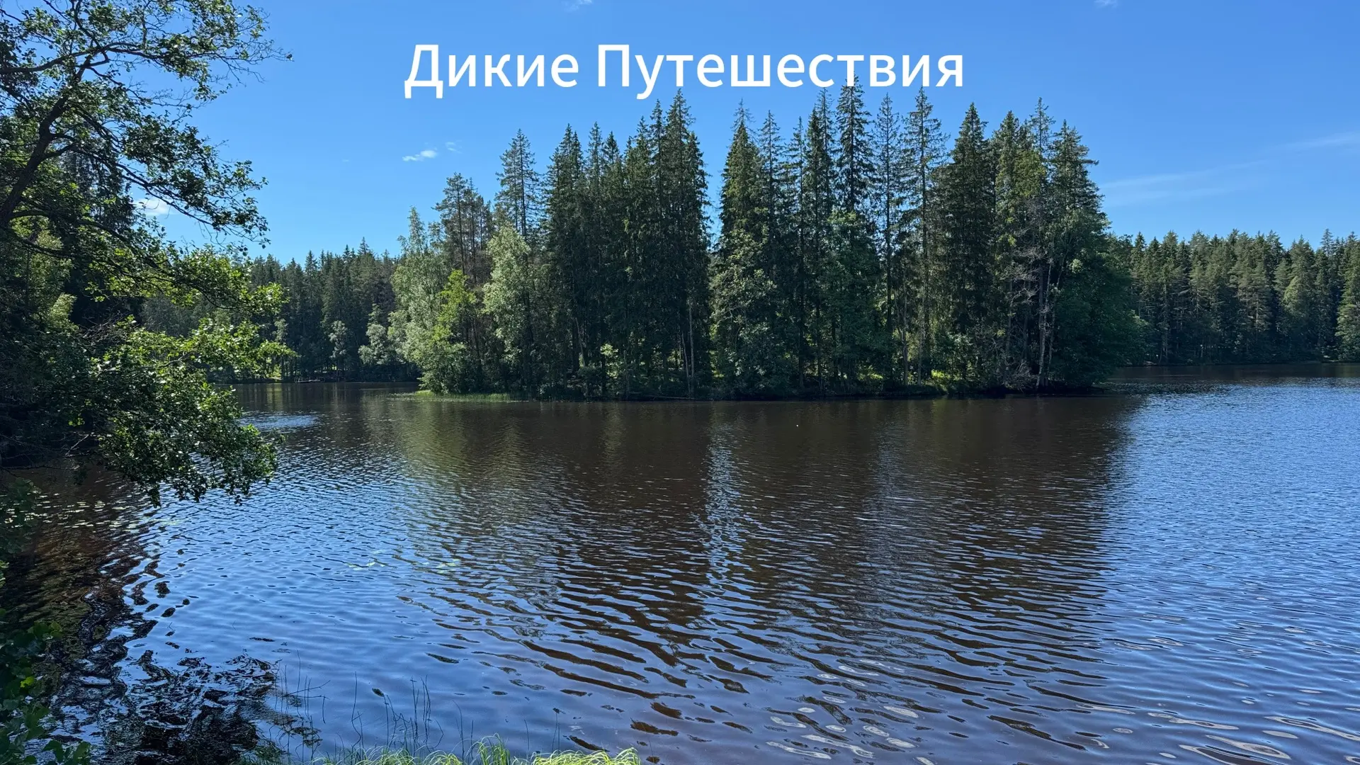 🥾 Хайкинг. Маршрут №2: Озеро Длинное (Экотропа «Озёрная»)
