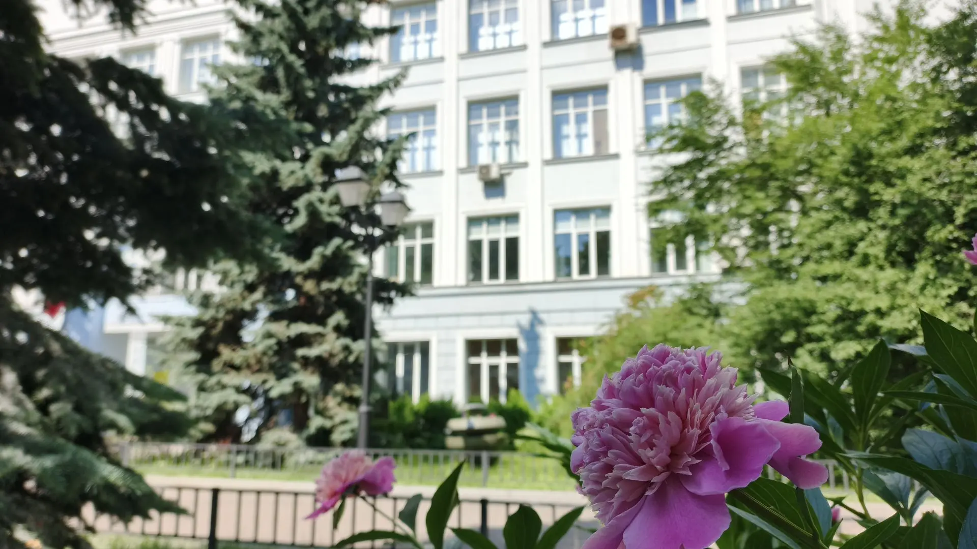 🍃 Лето с ШИК 16: отдыхаем, но не расстаёмся! 🍃

Пока наши дети набираются сил, наслаждаются солнце