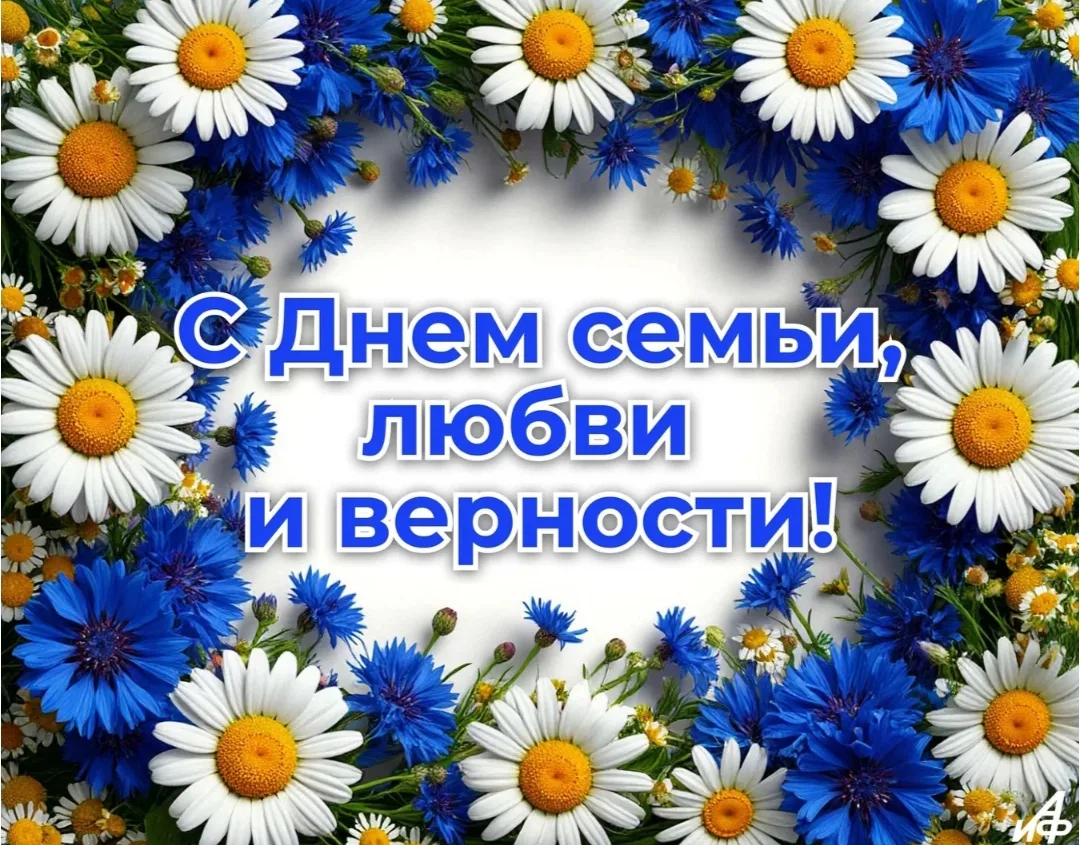 🌼 Внимание! Внимание!