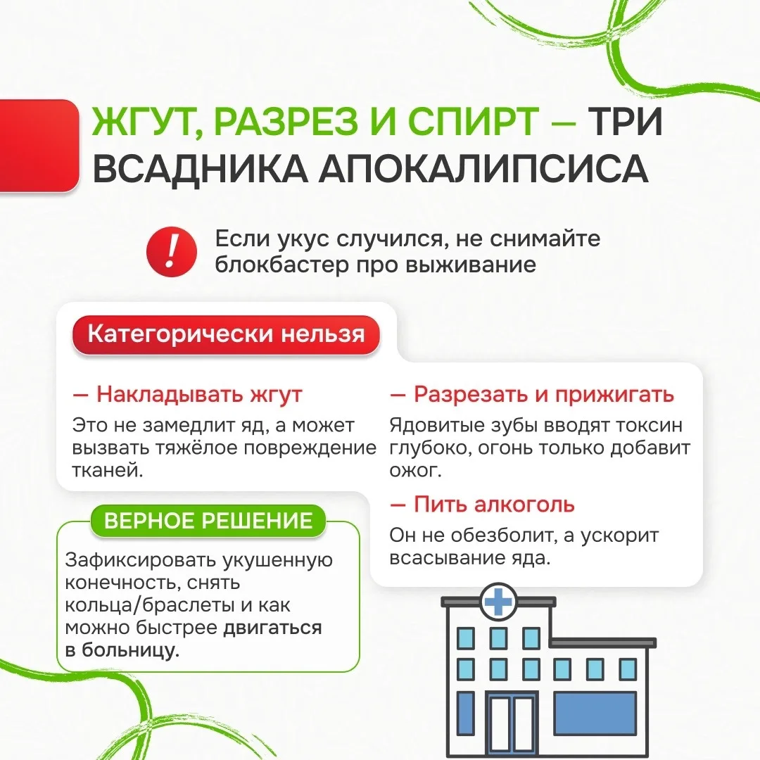 🌲 Лес без происшествий: инструкция для школьников  Лес — отличное место для прогулок, но важно помни