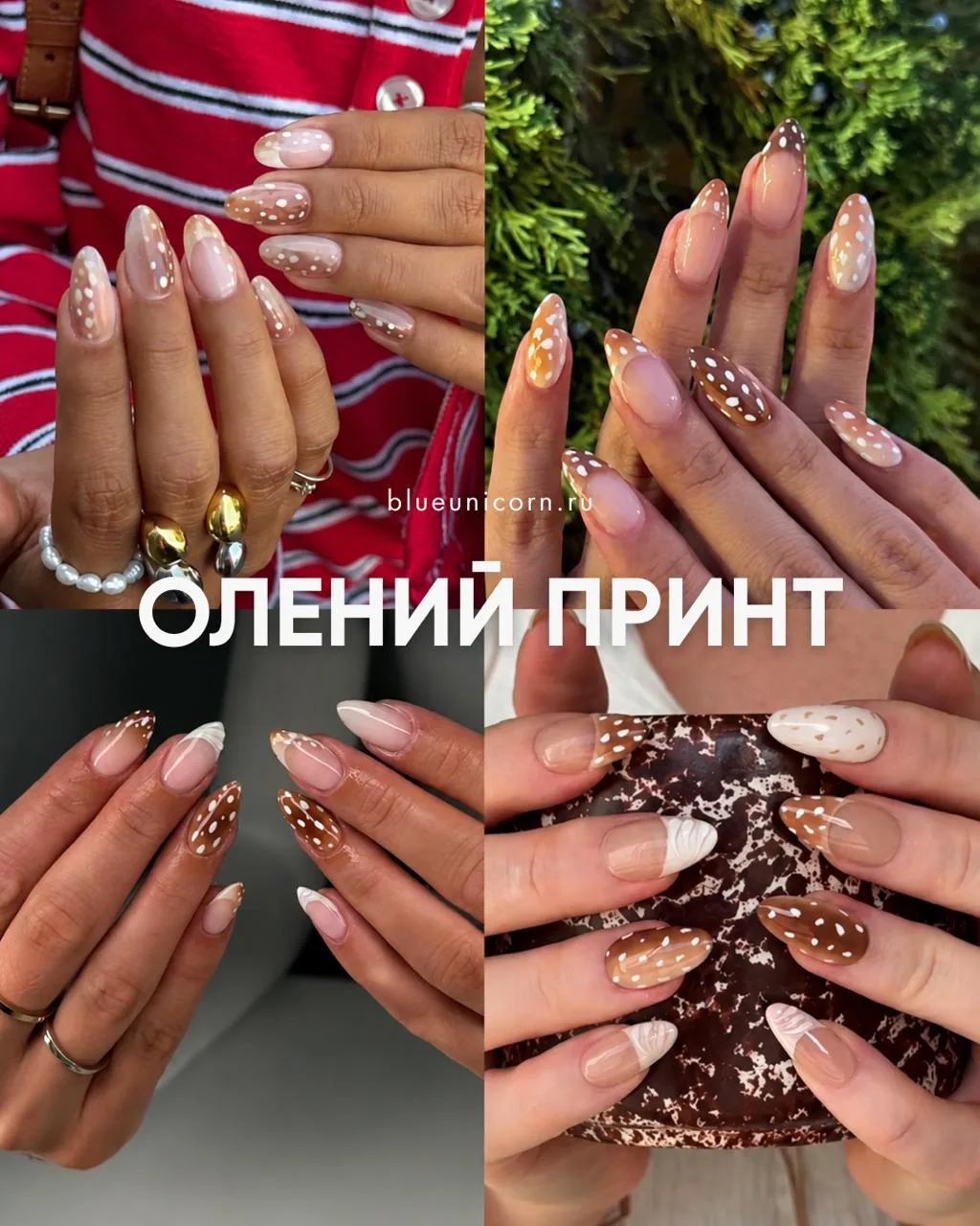 Изображение 8 к публикации «Blue Unicorn»
