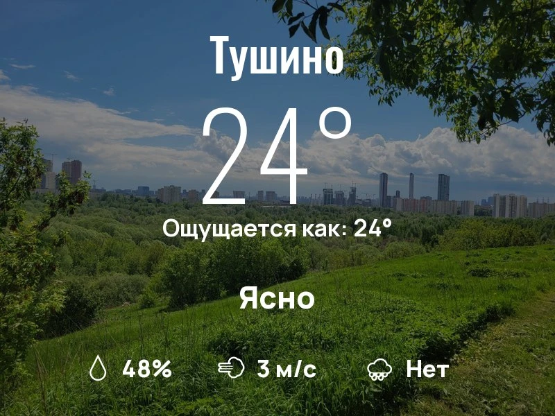 Что с погодой в Тушино?
