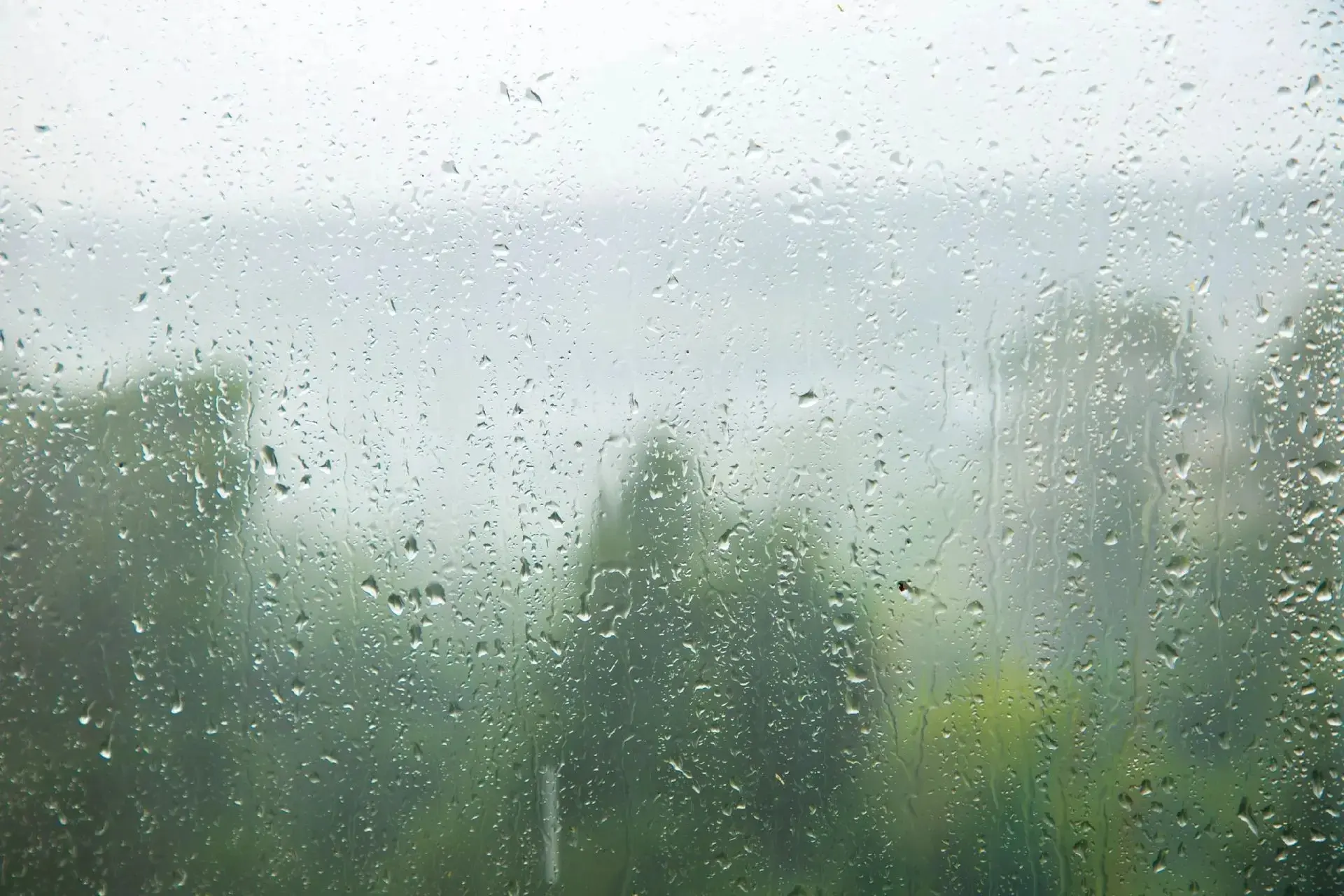 Доброе утро 🌱💧

Сегодня погода будет облачной и дождливой - осадки прекратятся во второй половине 