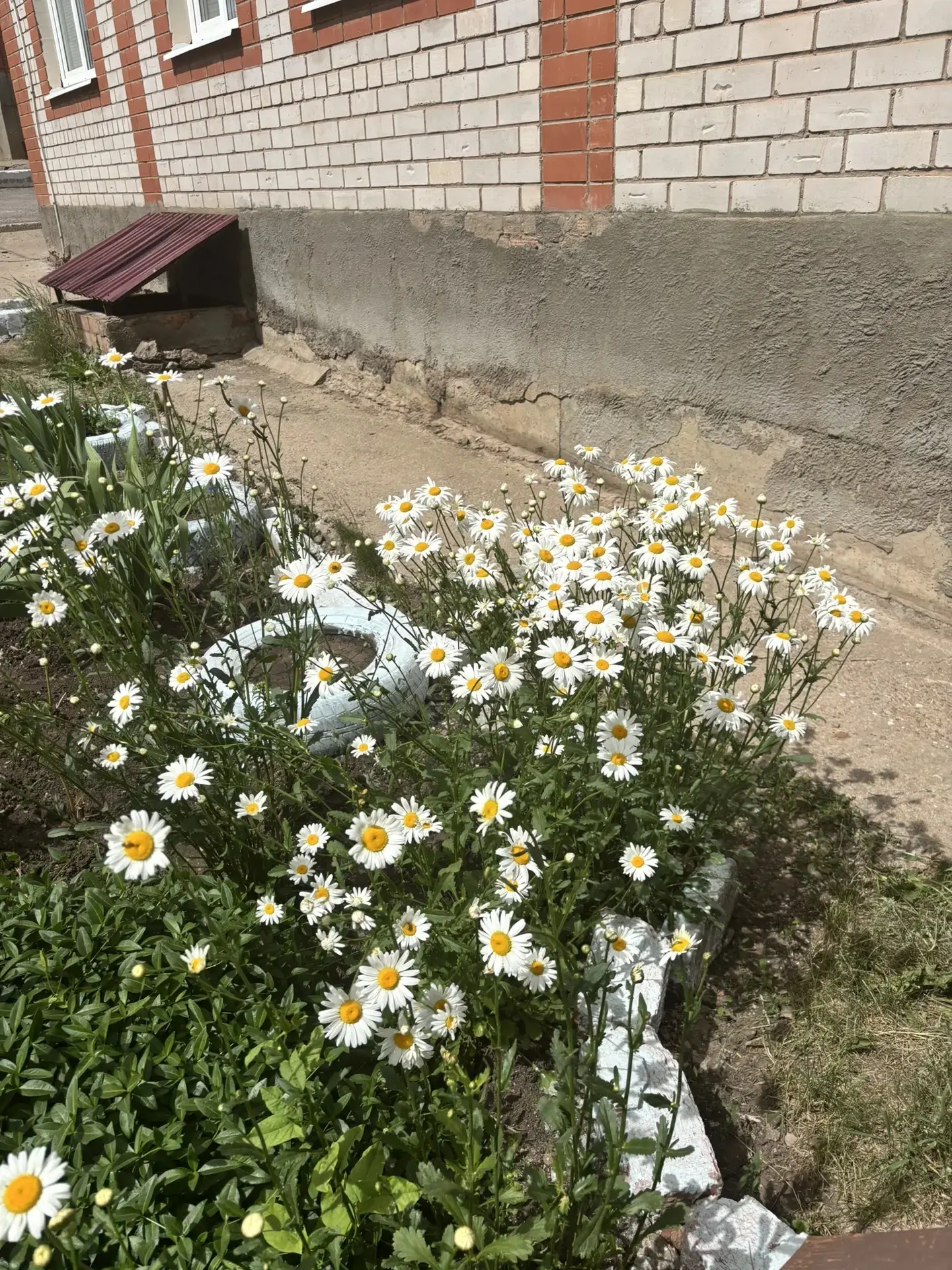 🌺Еще немного красоты в ленту ✨