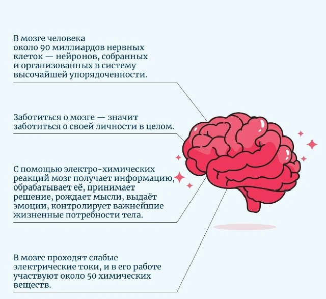 📆Неделя сохранения здоровья головного мозга