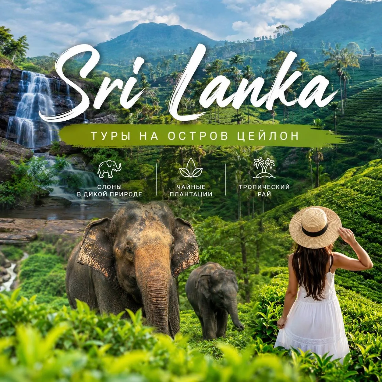 Шри-Ланка: 12 дней с вылетом из Казани! 🇱🇰