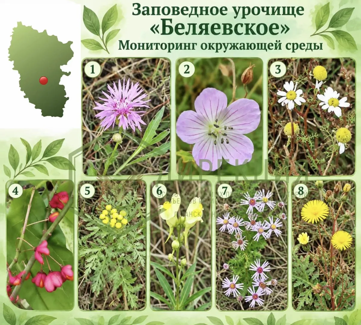 Лес засыпает: осенние новости из урочища «Беляевское»!