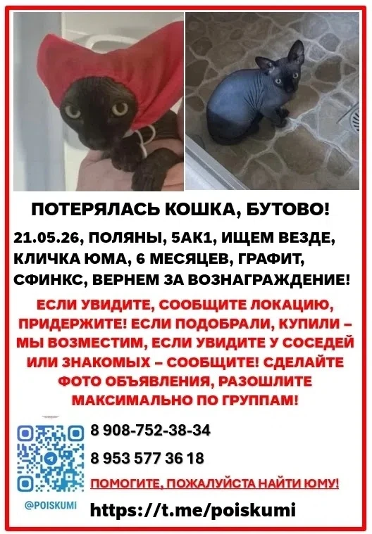 ⚠️  СРОЧНО: Пропал(а) кошка, 6 мес, сфинкс, кличка ЮМА!

📍 Москва, ул.Поляны 5Ак1, 21.05 9:00 

  �