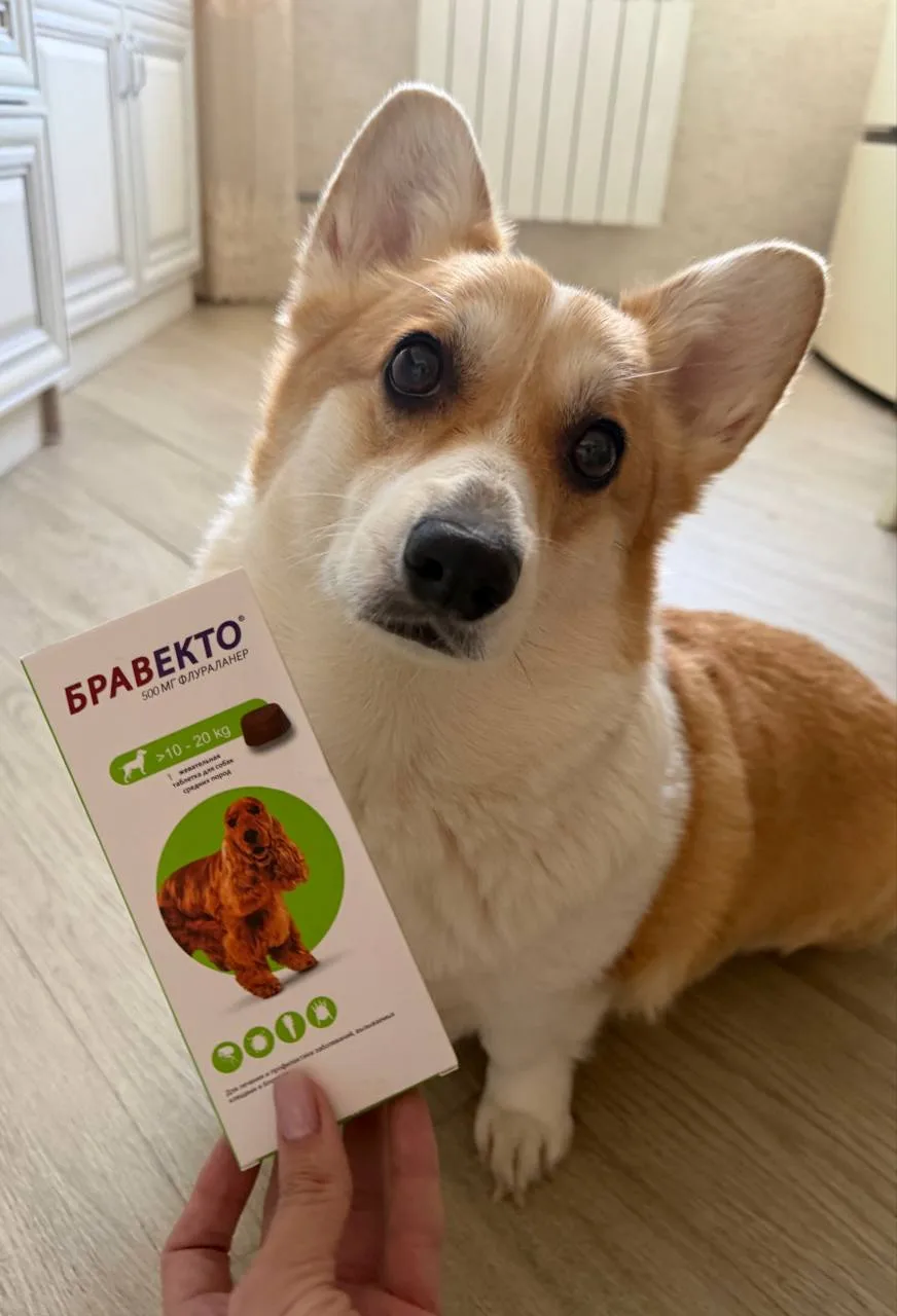 Лето близко.... 🪳