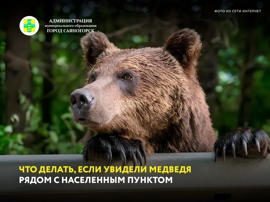 Впереди выходные, многие поедут на дачи или загород.