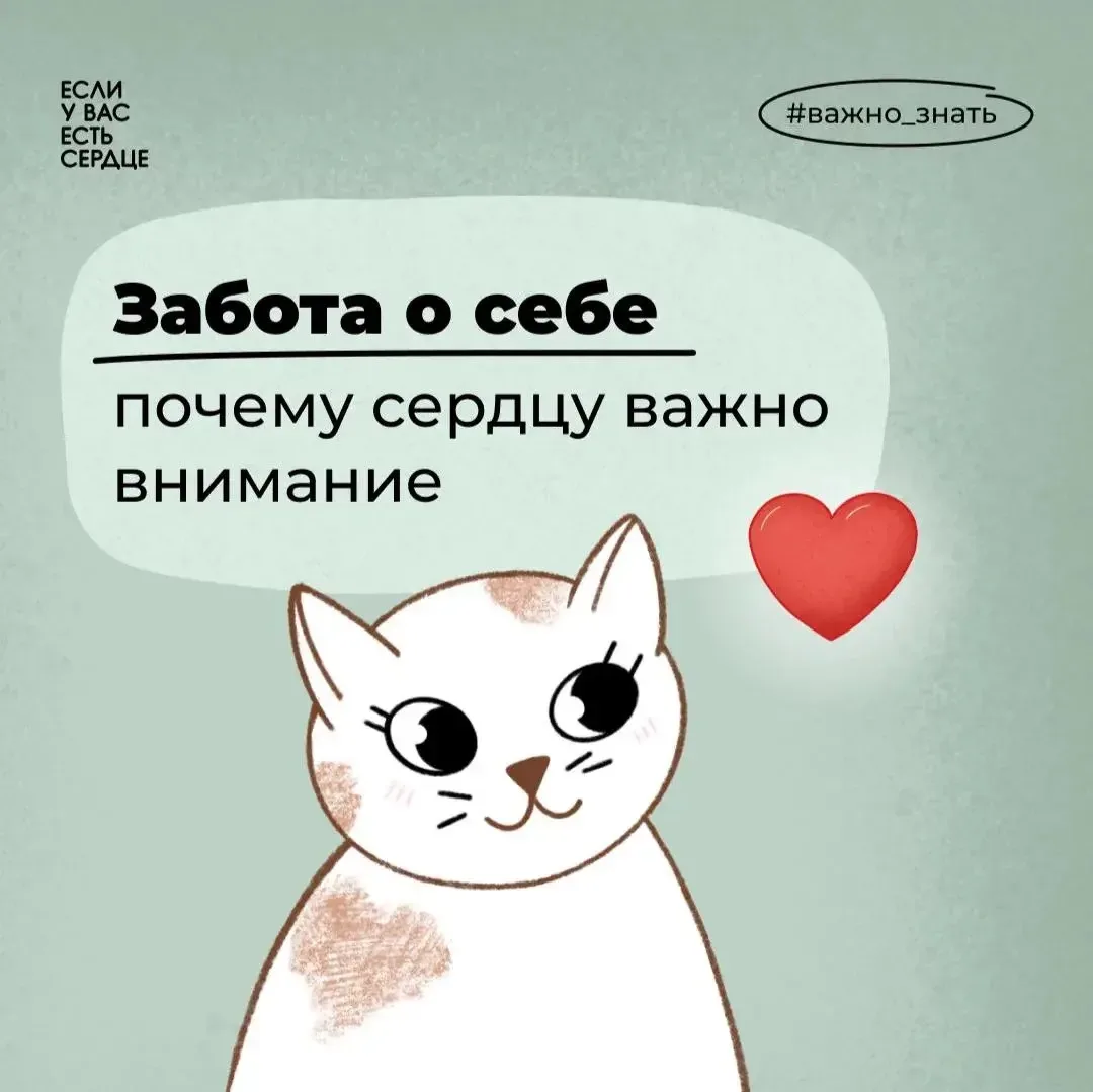 🫀Сезоны сменяются, погода за окном диктует свои правила, но есть то, что неизменно – б...