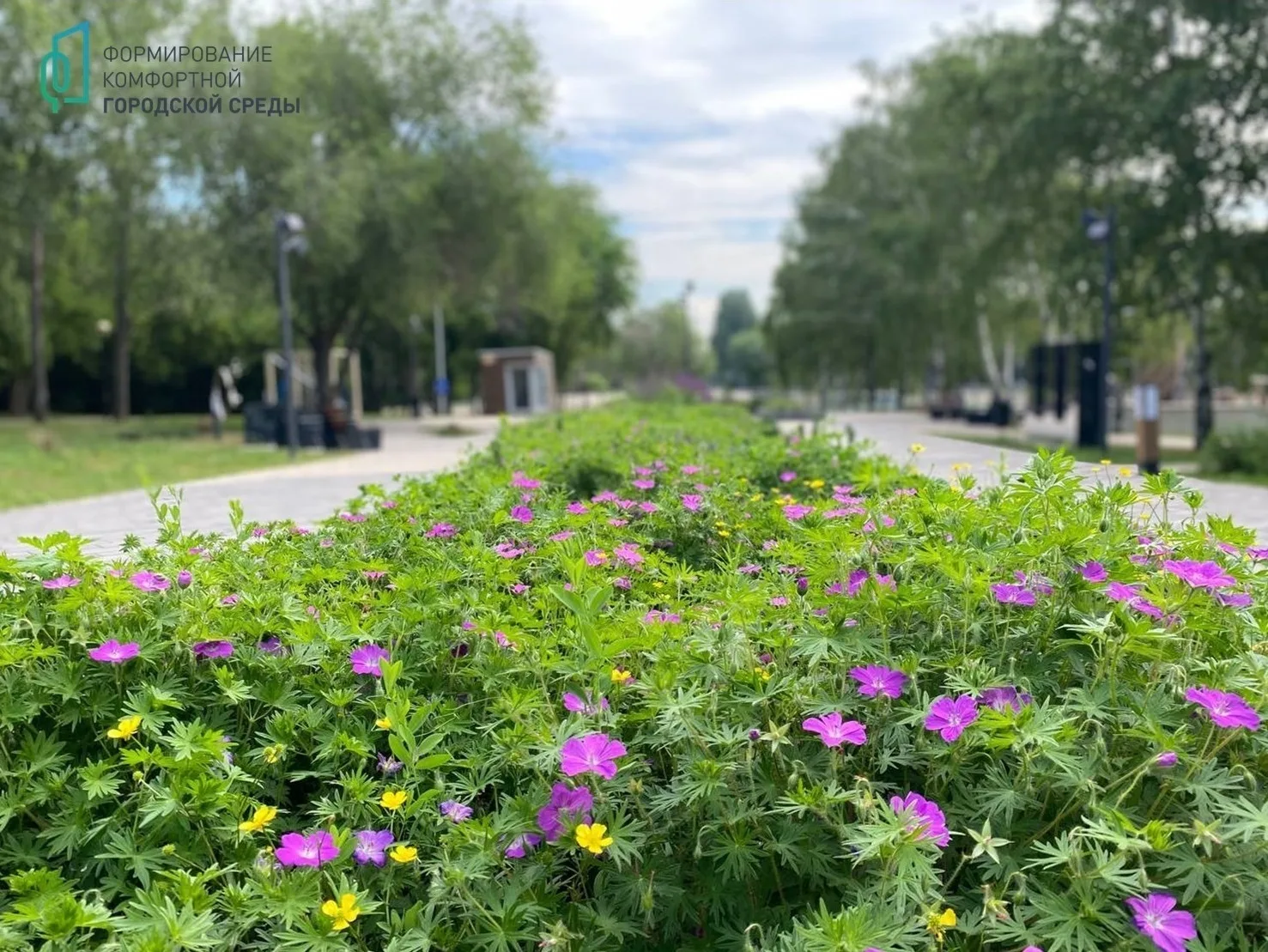 🌳 Ваш голос определит будущее города к 2027 году!