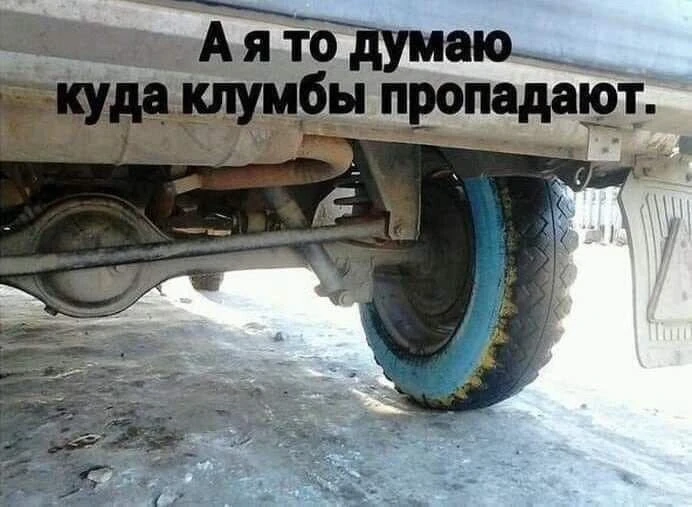 Не было у нас ещё таких проблем

Комментарии: pikabu.ru/link/S2H_68NbvO