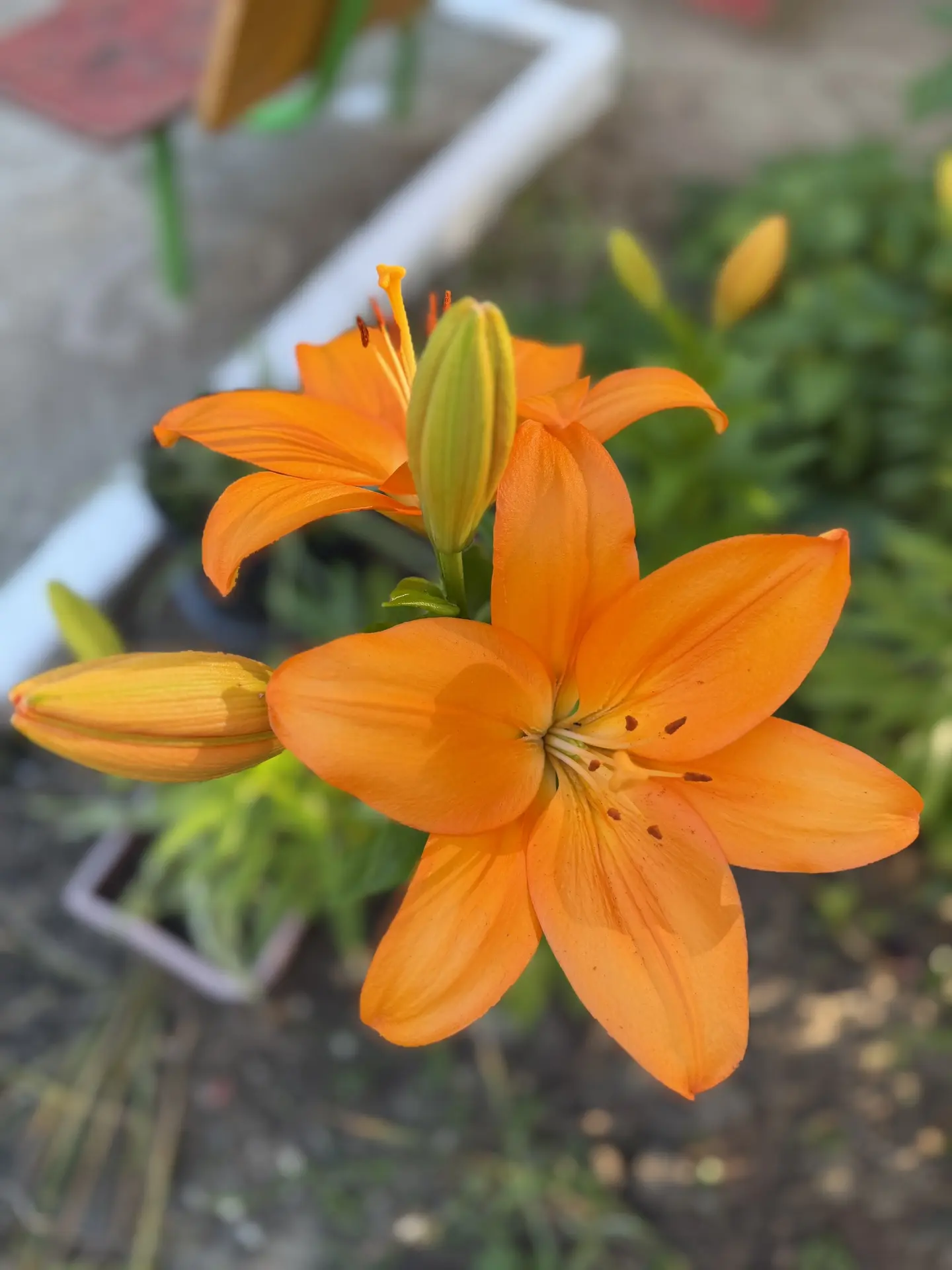 Желаем всем отличных выходных, набраться сил на новую рабочую неделю!💐💐💐