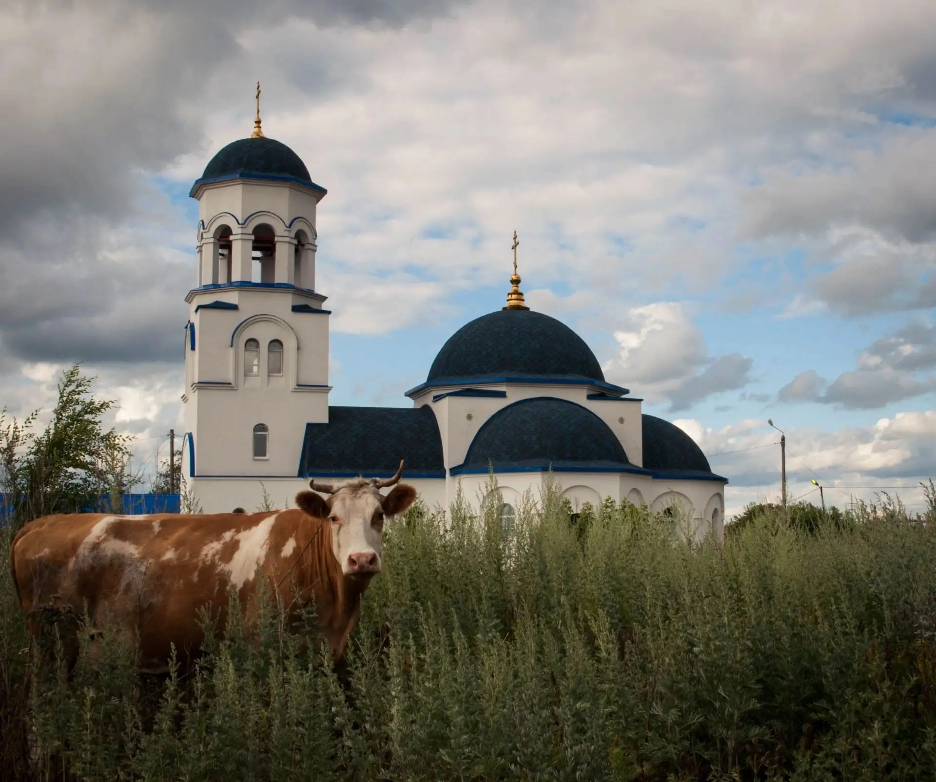 🍁 Доброе утро, Чапаевск!