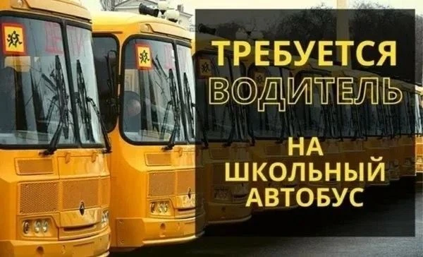 Требуется водитель школьного автобуса