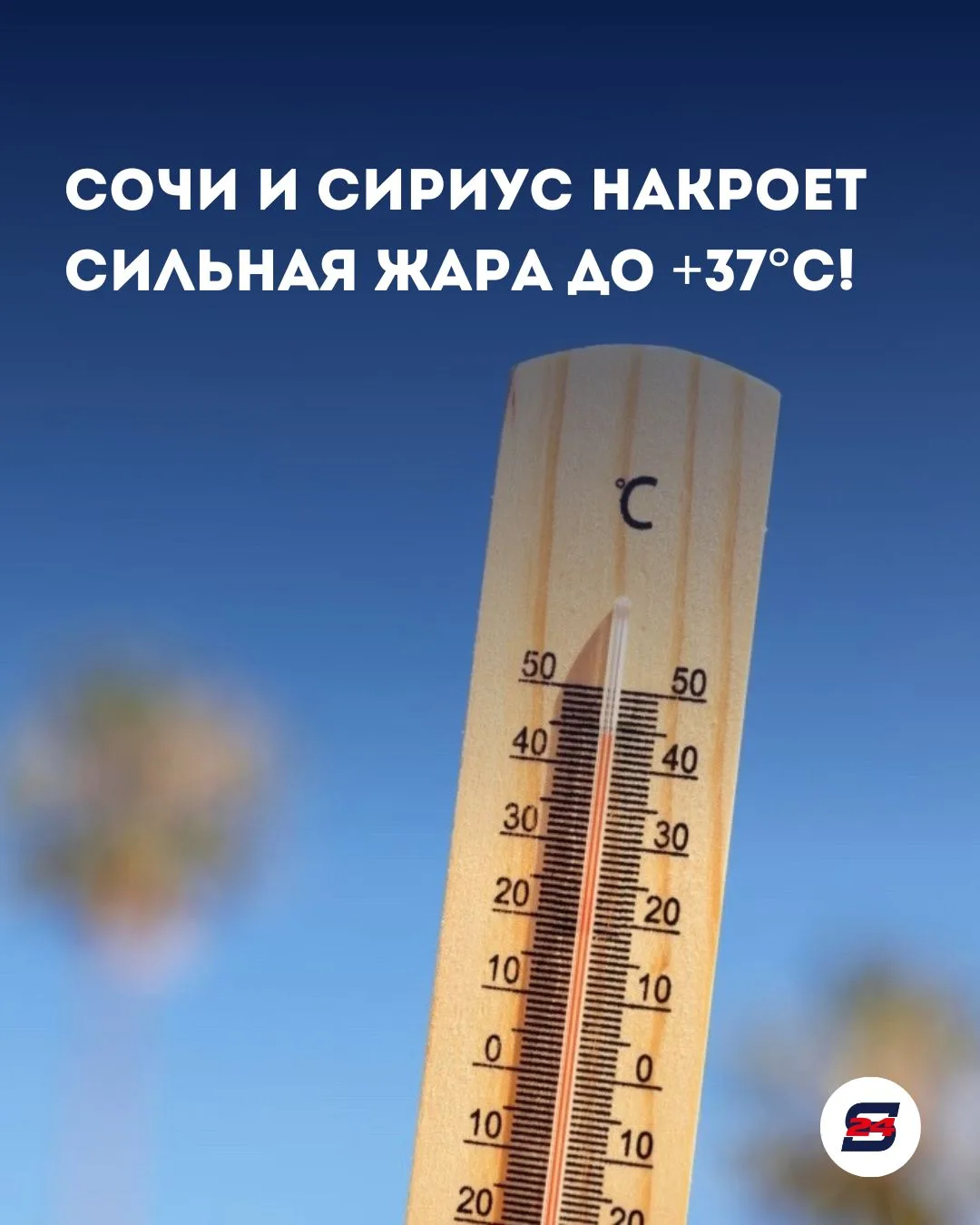 🚨 Экстренное предупреждение: курорт накроет жара до +37°C!