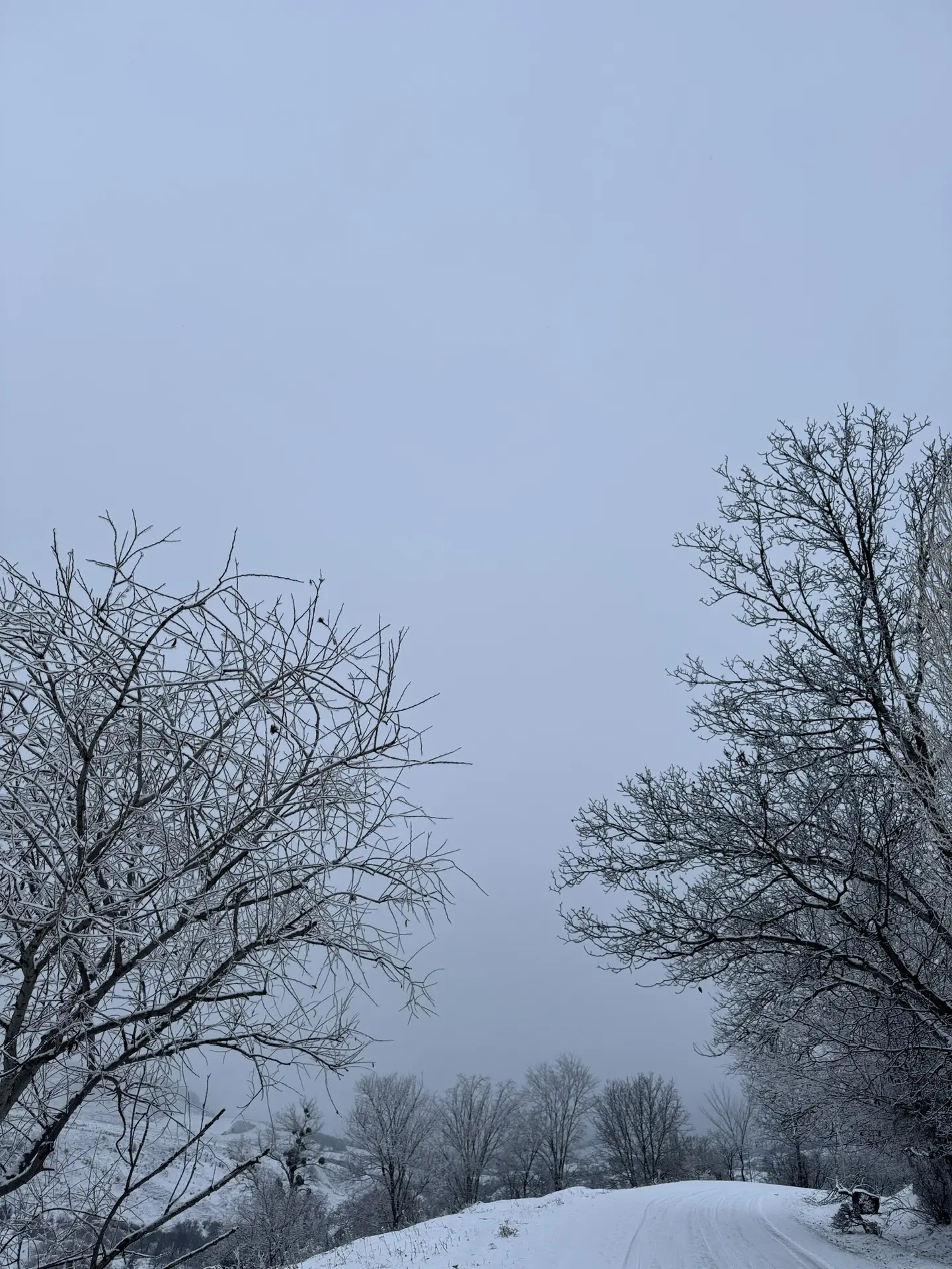 ❄С добрым зимним утром, дорогие жители аула Эльтаркач!❄