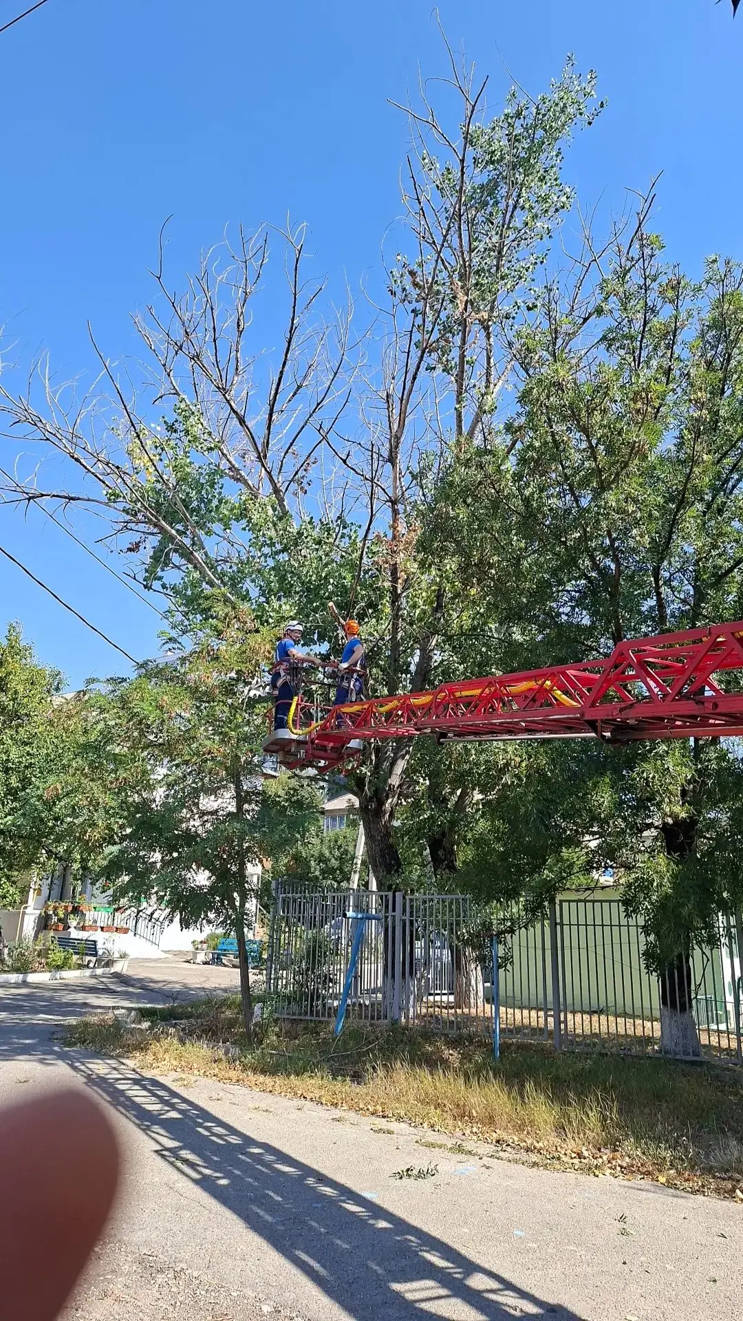 Оперативно проведены работы совместно с НЭСК и службой спасения по кронированию сухой ч...