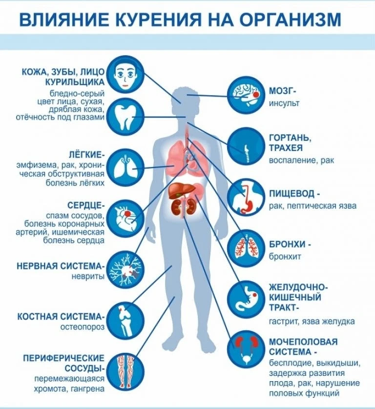 ❗⚡Курение наносит вред всему организму!