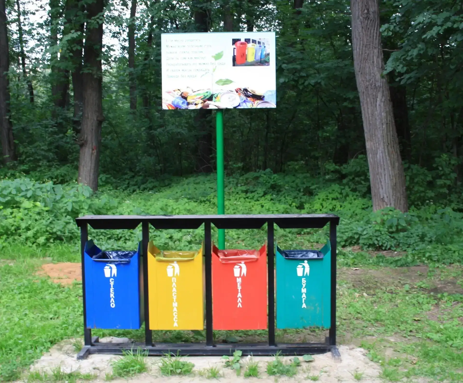 Безопасная среда  К природе – бережно  🌿В городе тоже есть дикая природа. Давайте наблюдать за ней б