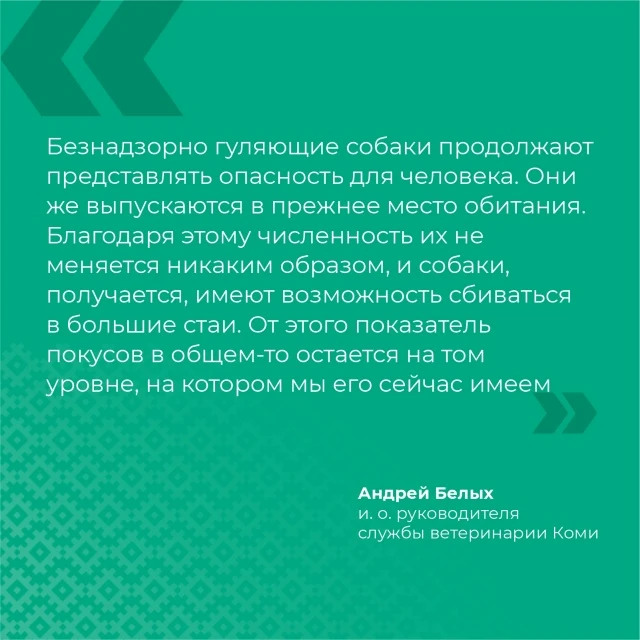 ☝️ Глава ветслужбы Коми прокомментировал рассмотрение законопроекта, дополняющего прави...