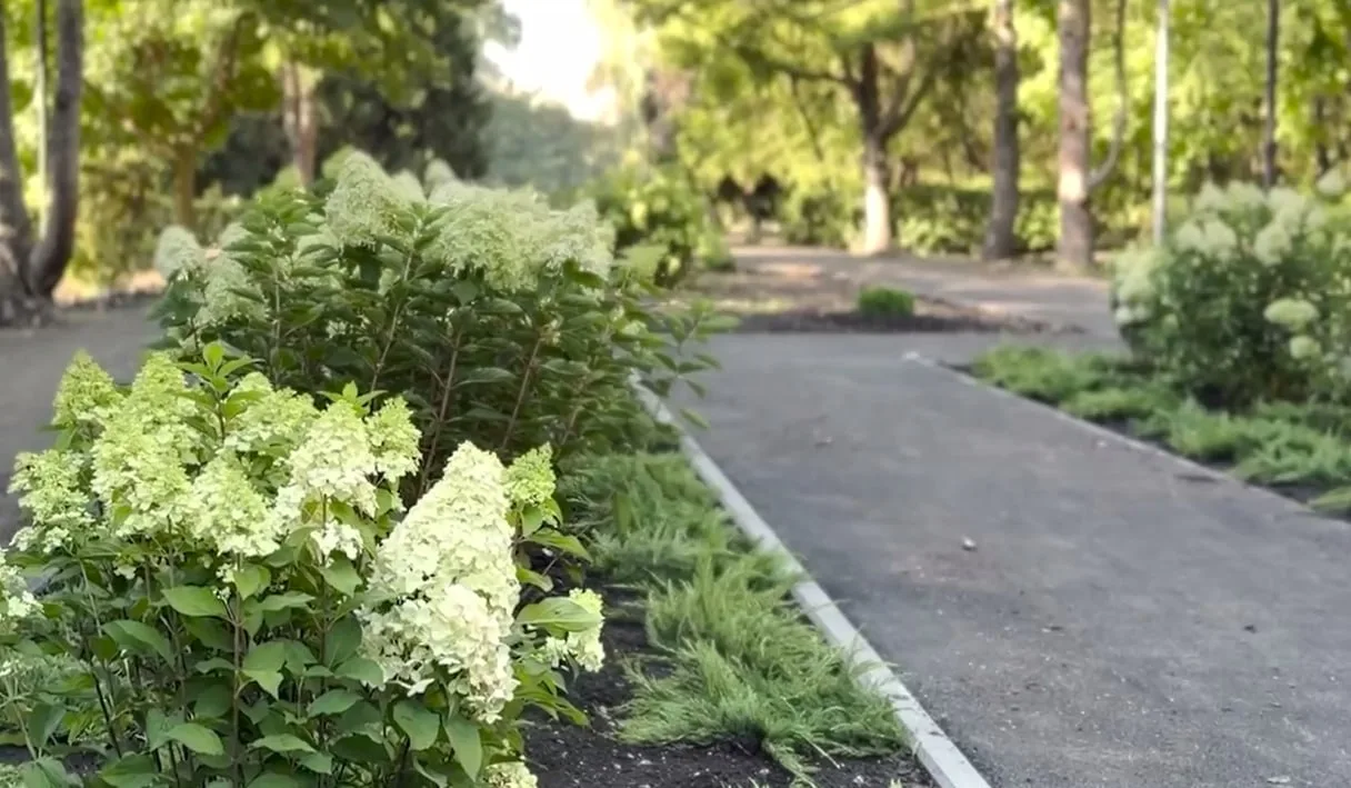 🌳🌿В Городском парке высадят 100 деревьев и 4000 кустарников