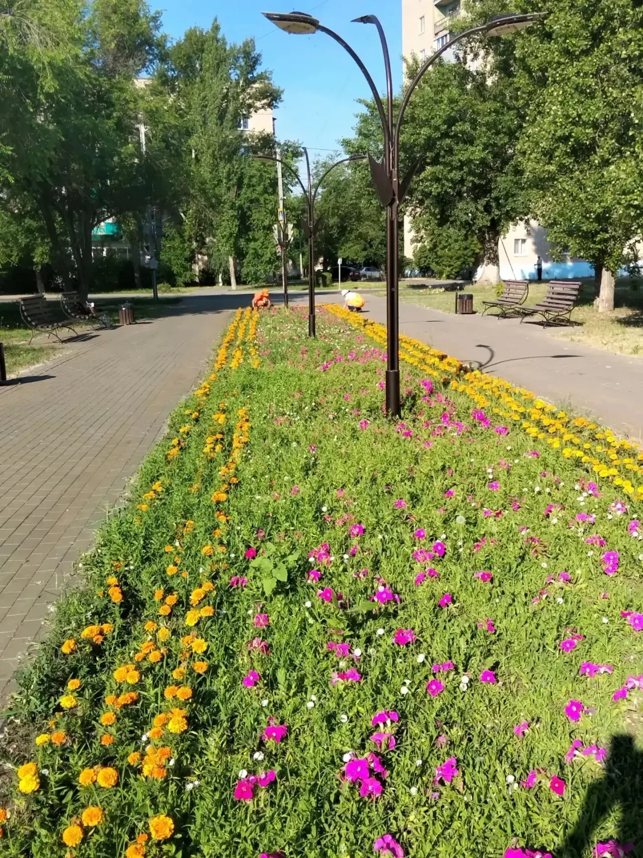 Покос травы, полив дорог, уборка мусора. Сотрудники «Комбината благоустройства» ежедневно наводят по