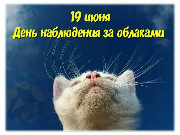Женские открытки💝