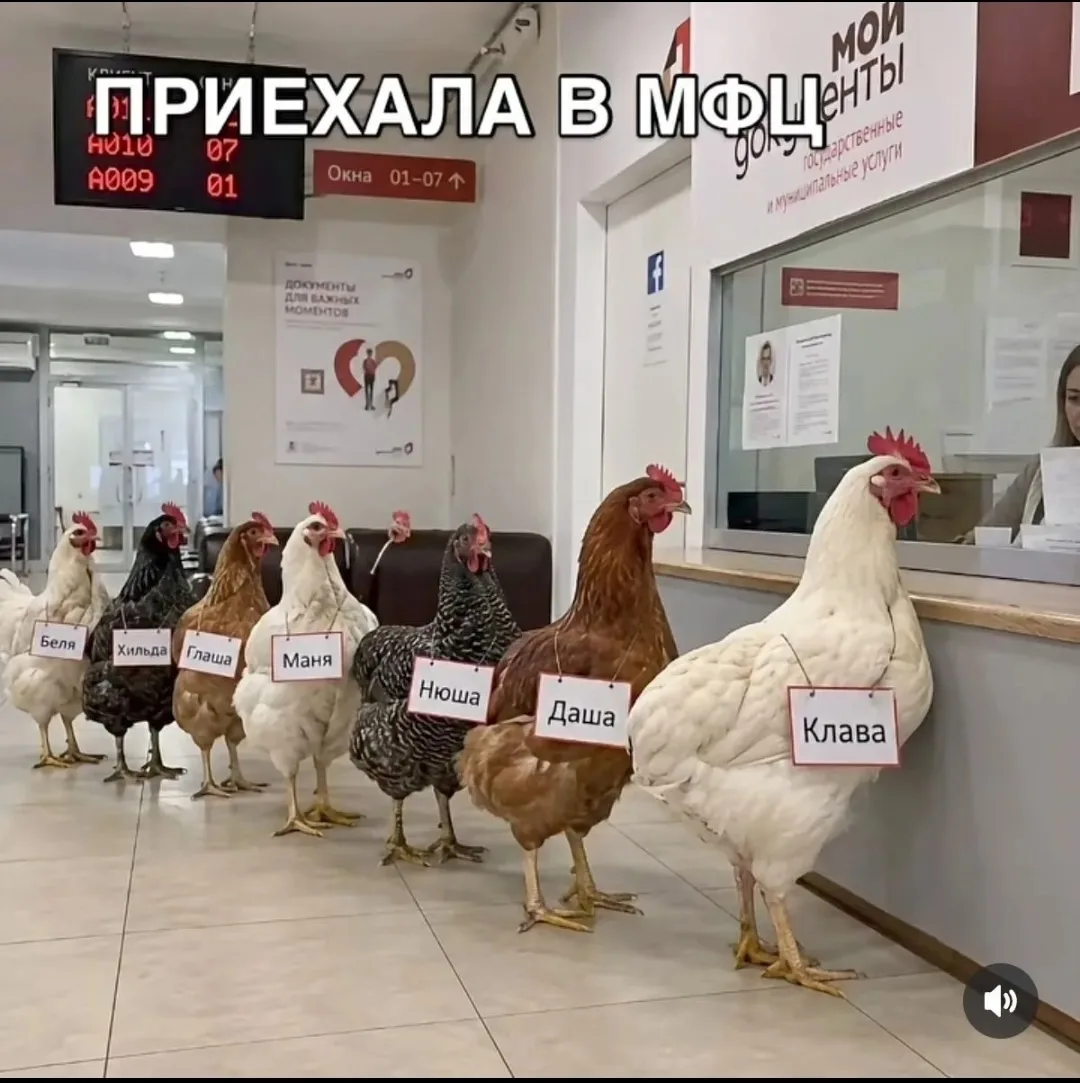 На злобу дня 🤣 кто-то же придумал такой закон,  а кто-то представил как это будет.