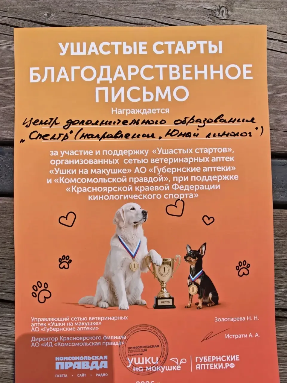 Медиа публикации