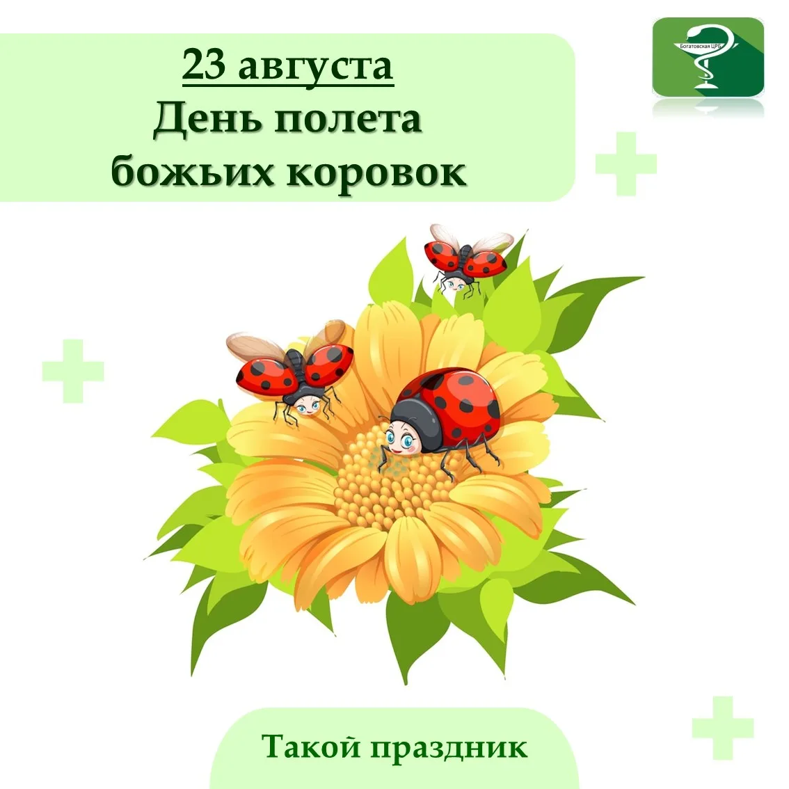 23 августа отмечается милый и светлый праздник — День полёта божьих коровок. Пусть он и...