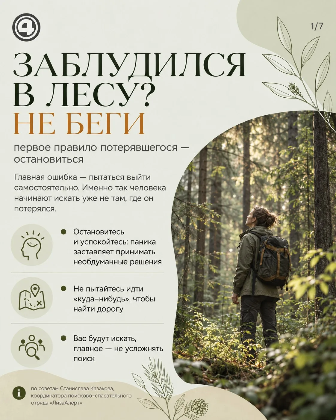 Заблудились в лесу — не бегите: рассказываем, как не усложнить поиск