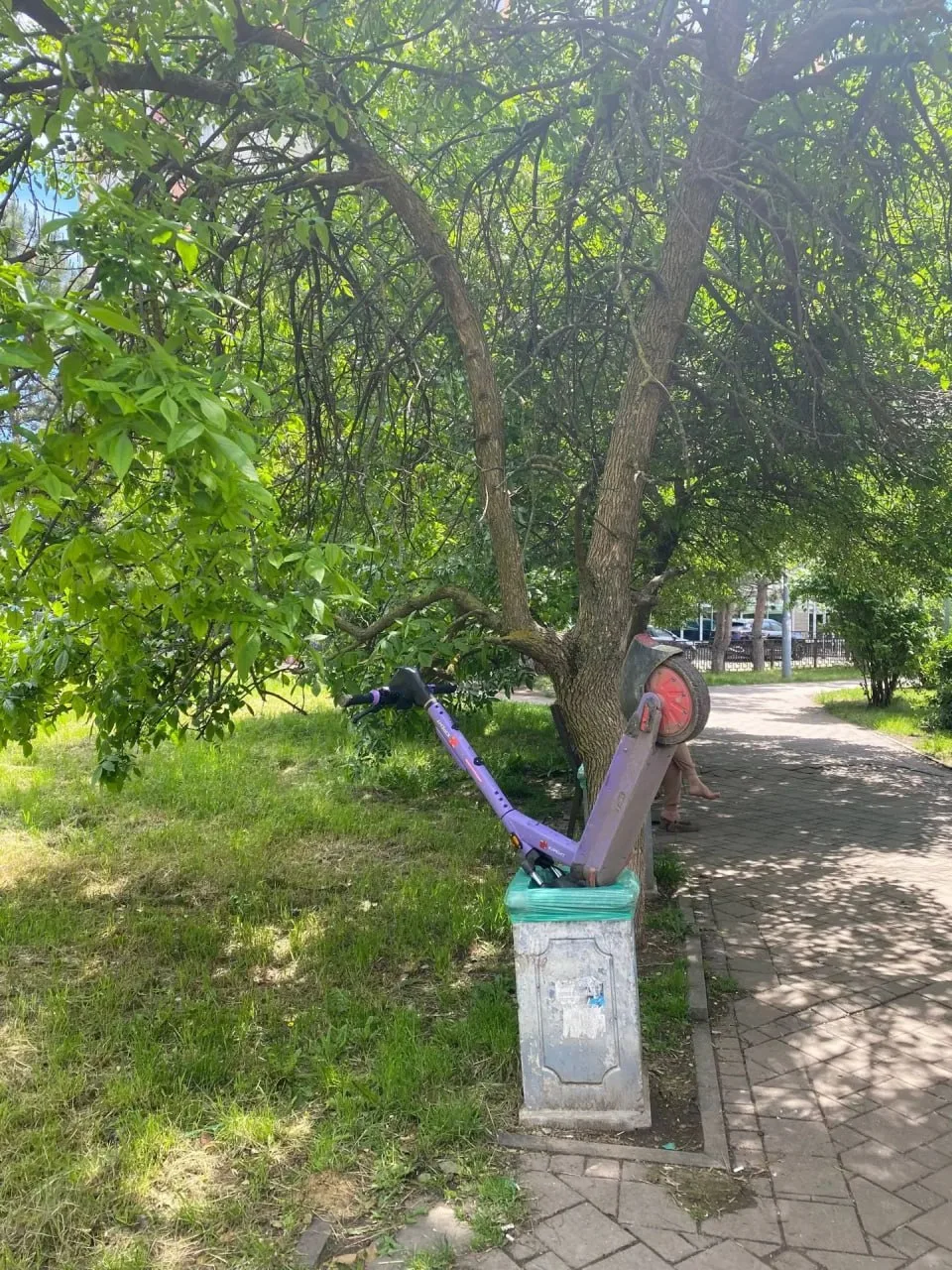 🛴 В 2,2 раза выросли покупки самокатов с приходом лета в Краснодаре

Пока одни горожане уже успели 