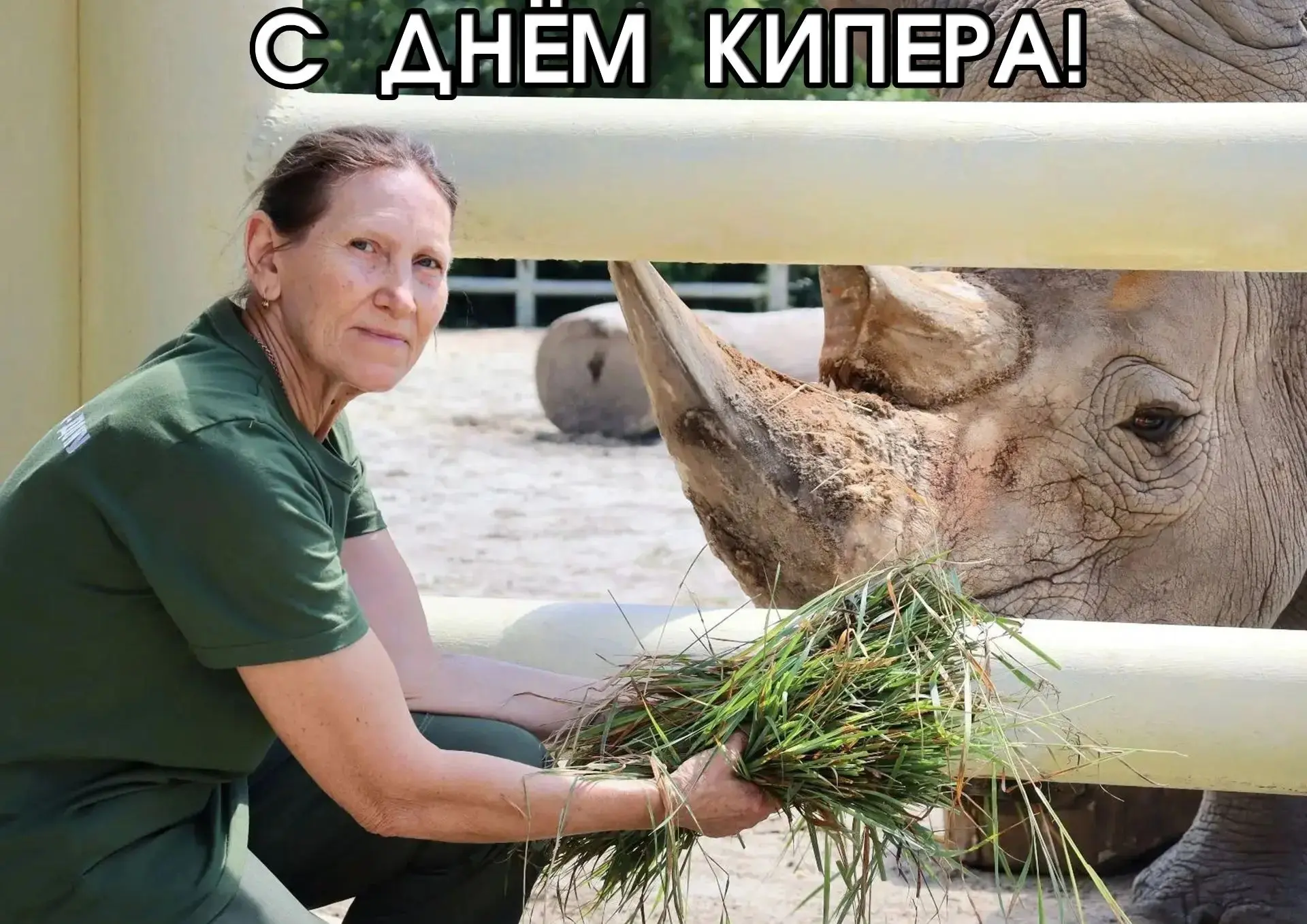 🌏 4 октября во всём мире отмечают Международный день кипера (International Zookeeper D...