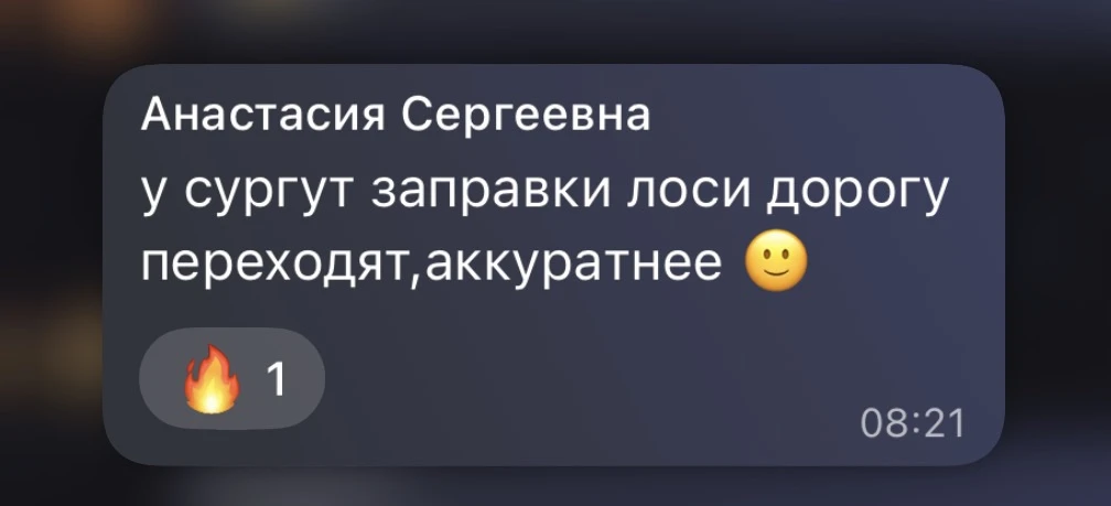 🫎 Внимание!