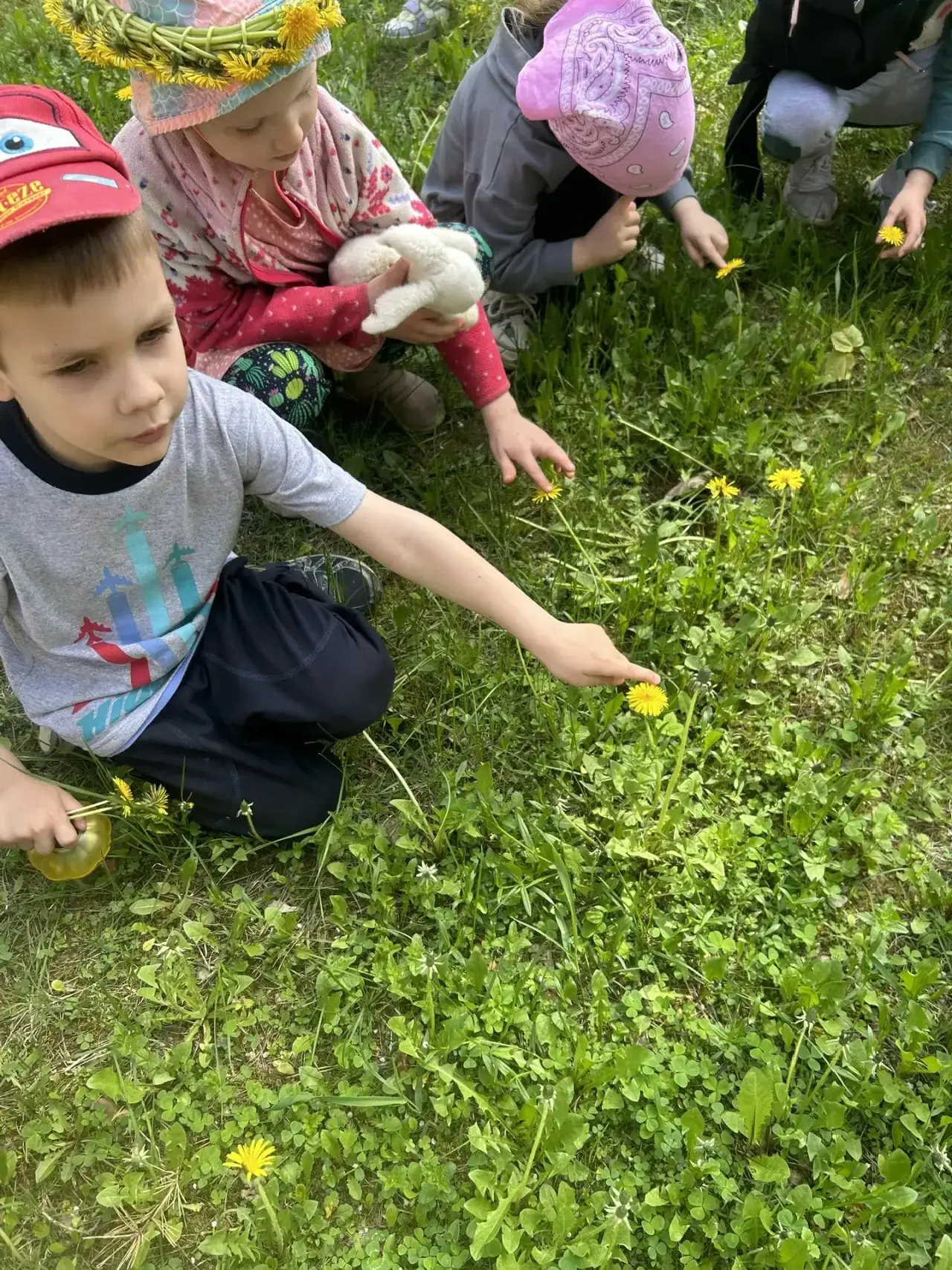 Удивительные цветы – одуванчики. Яркие, скромные, милые, но при этом неприхотливые, выносливые, жизн
