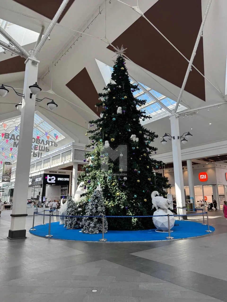 🎄Наряженная елка до сих пор стоит в ТЦ «Зеленопарк» в Зеленограде. 

Фото прислано подписчиком Моск