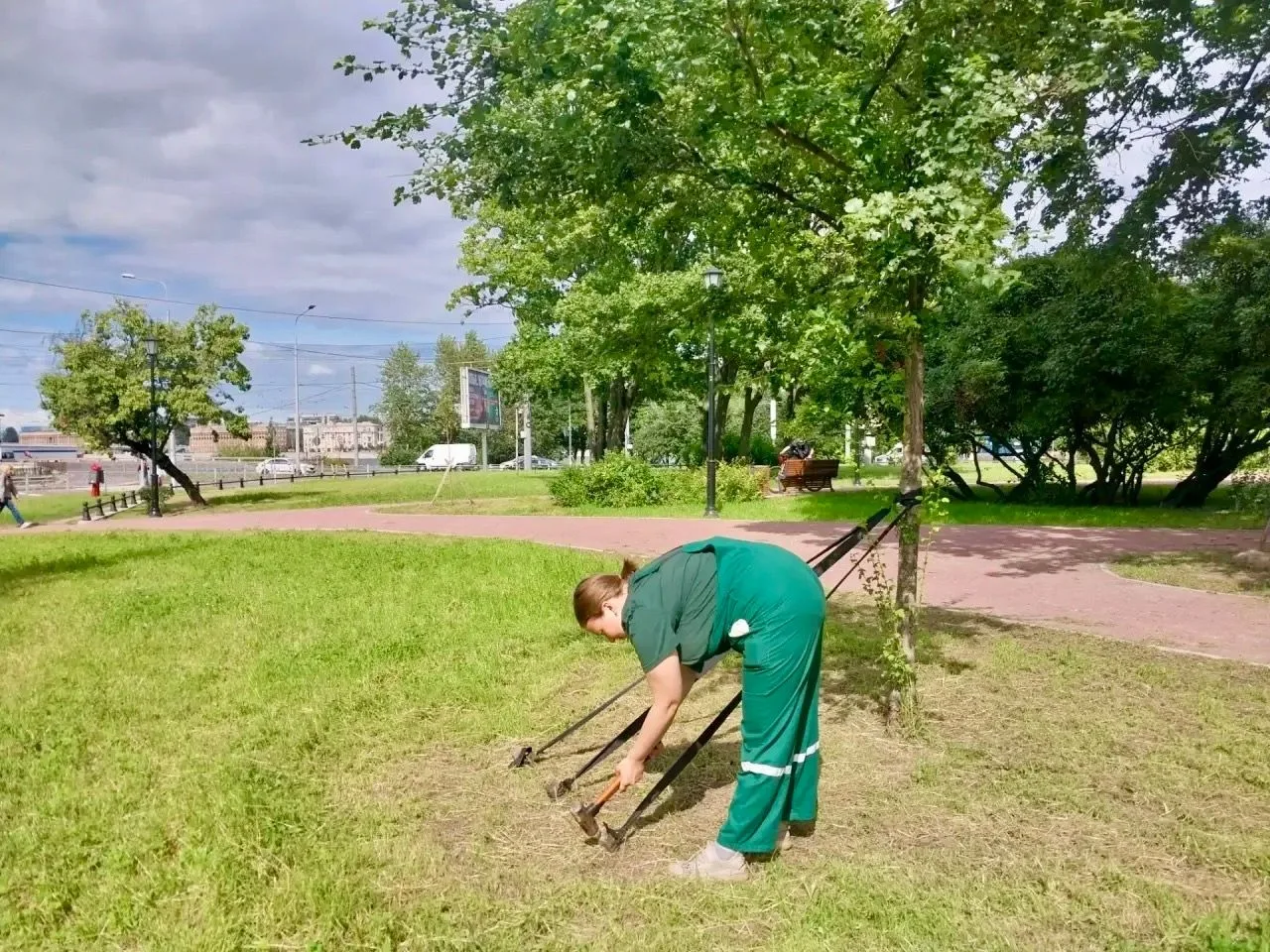 Уход за посадками многообразен и зависит от локации, микроклимата, антропогенной нагрузки, возраста 
