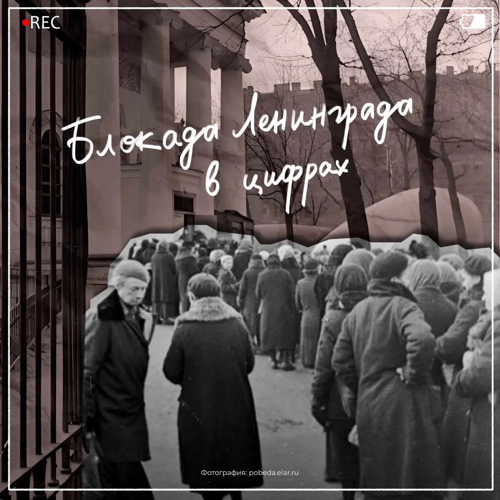 Представьте, что в 1942 году в блокадном Ленинграде хоронили тысячу человек в день. Тысячу. В день! 