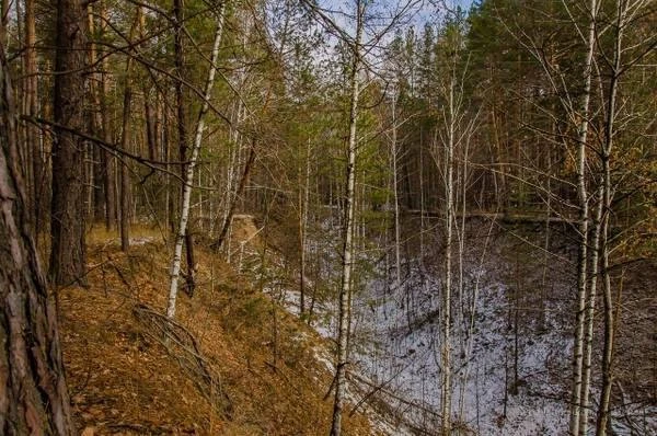 👀 В Пензенской области есть природное место с довольно необычным названием - Овраг Смерти