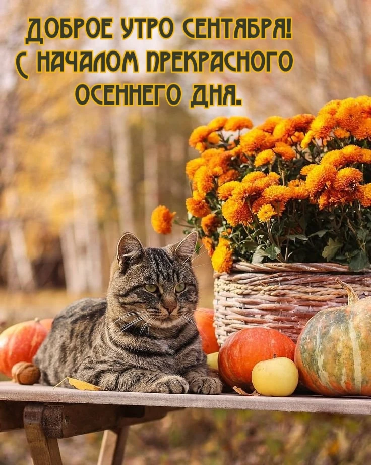 Список качественных каналов в МАХ | Подпишись!❤️