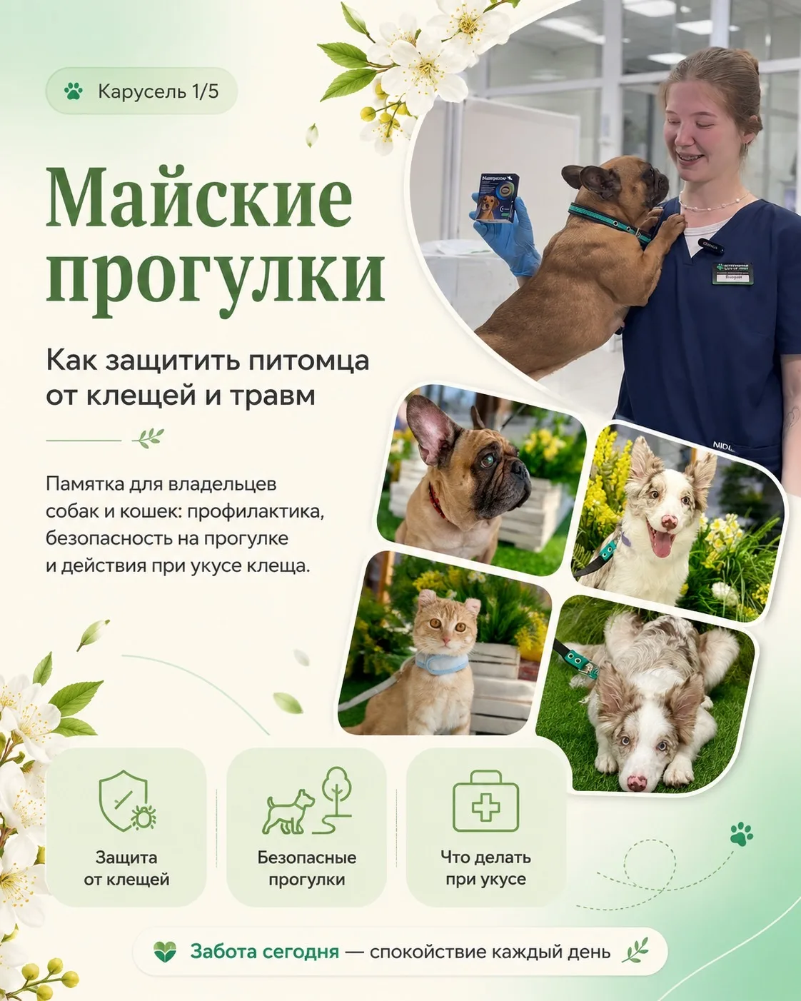 Майские прогулки 🐾