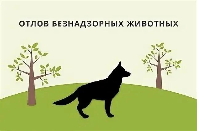 Уважаемые жители Графовской территории !
                                                           