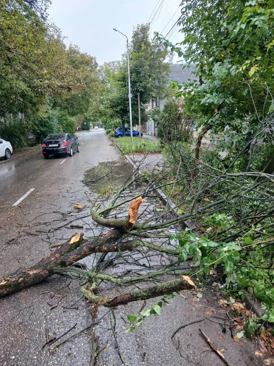 ⛈️Устраняем последствия непогоды по обращениям граждан!