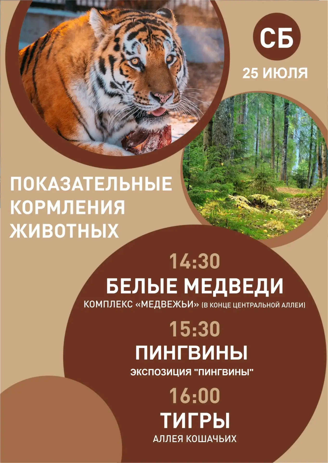В предстоящие выходные 25 и 26 июля- показательные кормления животных и "Танцующее лето" !
Ловите ра