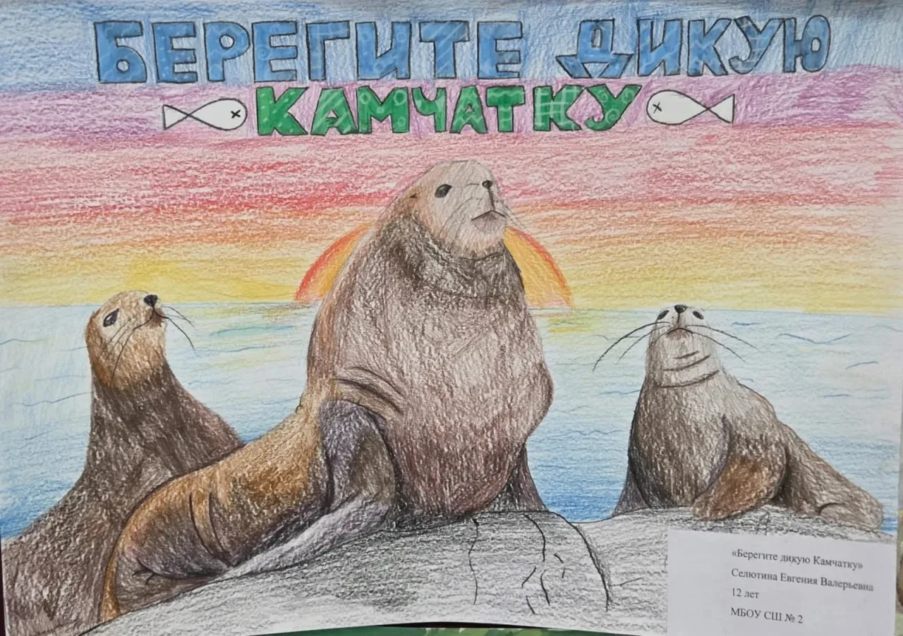🎨 Начался приём работ на конкурс детского рисунка о животных Камчатки