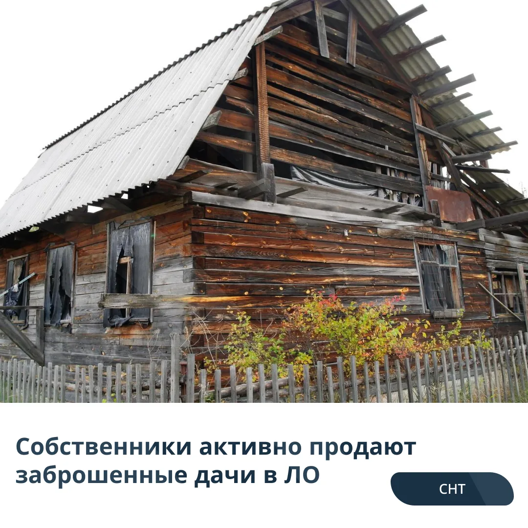 💰Собственники активно продают заброшенные дачи в ЛО   С марта 2025 года в Ленинградской области изме