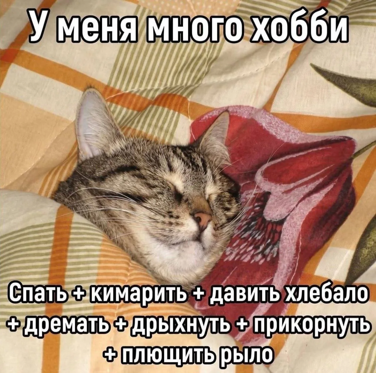 Все, спать))